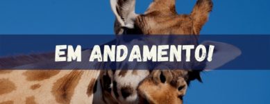 Extecamp | Introdução à CNV (online, out-nov/2026)